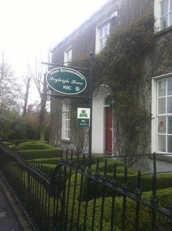 Ivyleigh House Bed & Breakfast Port Laoise Bagian luar foto
